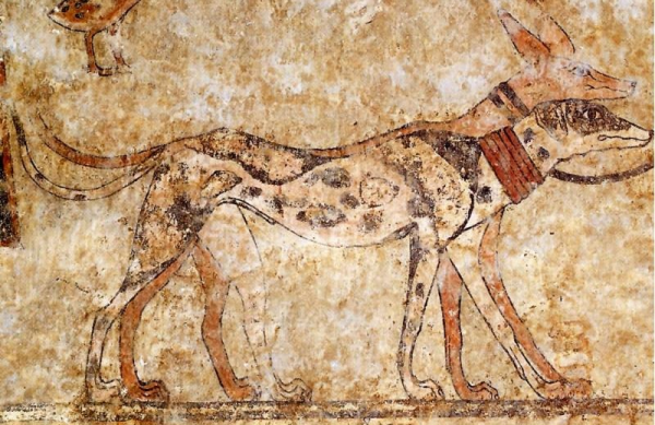 An old depiction of two slender, long-legged dogs wearing collars