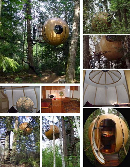 creative-and-unique-spherical-tree-house-design.jpg